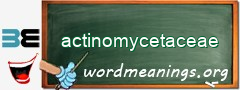 WordMeaning blackboard for actinomycetaceae